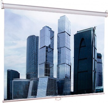 Экран Lumien 203x203см Eco Picture LEP-100109 1:1 настенно-потолочный рулонный