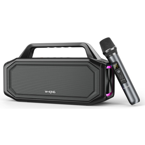 Портативная колонка W-King D11 черный