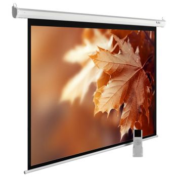 Экран Cactus 188x300см SIlverMotoExpert CS-PSSME-300X188-DG 16:10 настенно-потолочный рулонный тёмно-серый (мотор)