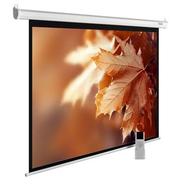 Экран Cactus 188x300см SIlverMotoExpert CS-PSSME-300X188-WT 16:10 настенно-потолочный рулонный темно-серый (моторизованный привод)