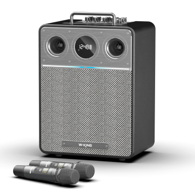 Портативная колонка W-King T6 black