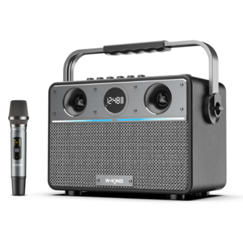 Портативная колонка W-King T16S черный