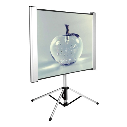 Экран Cactus 102x180см TriAlExpert CS-PSTALE-180X102 16:9 напольный рулонный