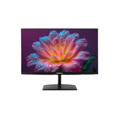 Монитор IRBIS Groovyview 24 (IGV24FID01)