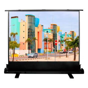 Экран Cactus 120x160см FloorExpert CS-PSFLE-160X120 4:3 напольный рулонный