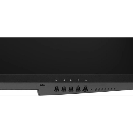 Монитор NPC MZ300L черный