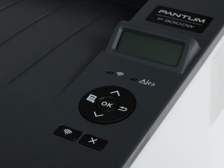 Принтер лазерный Pantum P3010DW