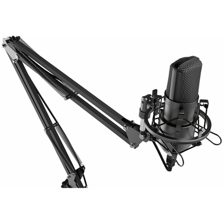 Микрофон RITMIX RDM-169 Black