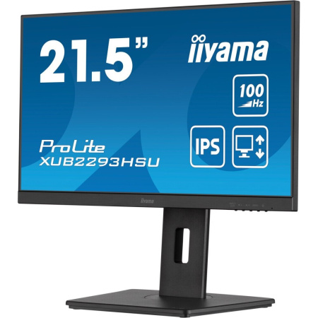 Монитор Iiyama ProLite XUB2293HSU-B6 черный