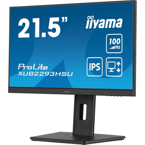 Монитор Iiyama ProLite XUB2293HSU-B6 черный