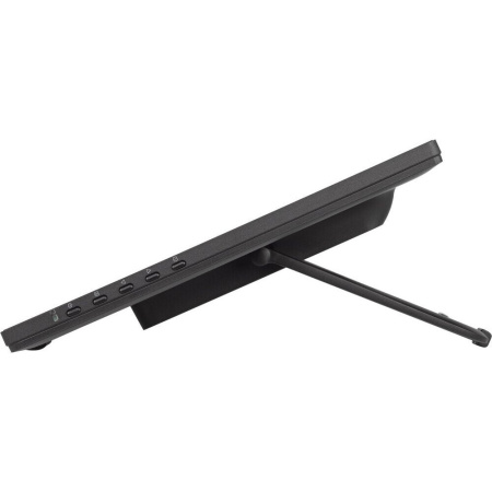 Монитор Iiyama ProLite T2455MSC-B1 черный