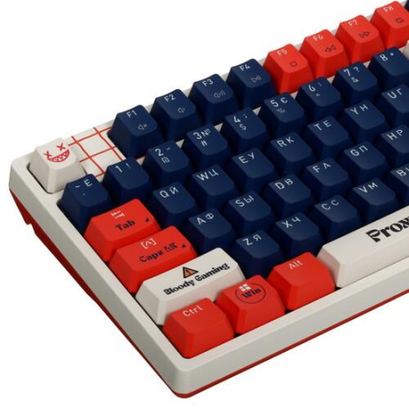 Клавиатура проводная A4Tech Bloody AT87 Renegade