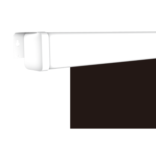 Экран Lumien Master Picture CSR (LMP-100109CSR) White