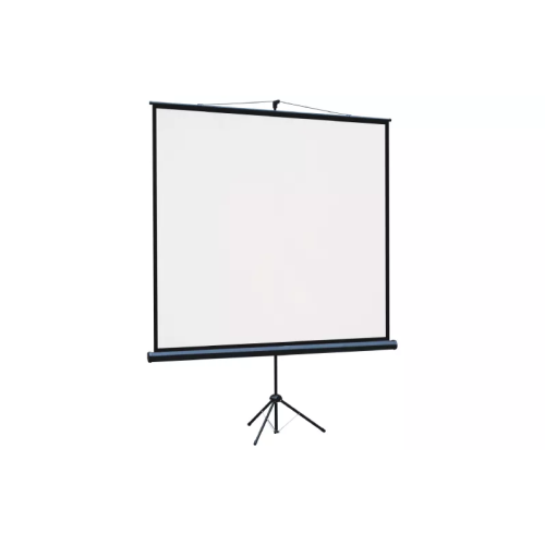 Экран Lumien Eco View (LEV-100109) White