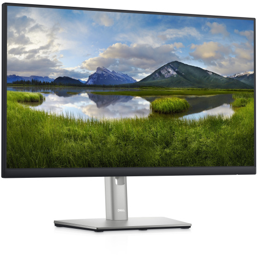Монитор Dell P2422HE S/BK (2422-5205)
