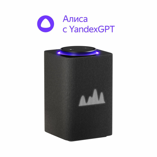 УЦ Яндекс Станция Макс YNDX-00053K черный (плохая упаковка)