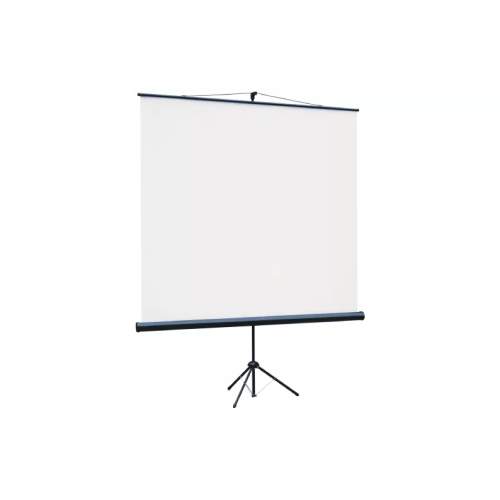 Экран Lumien Eco View (LEV-100109) White